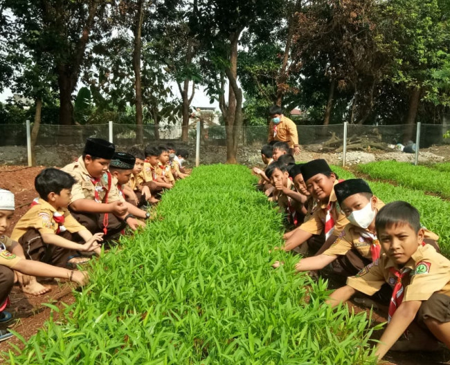 Asiknya Berkebun